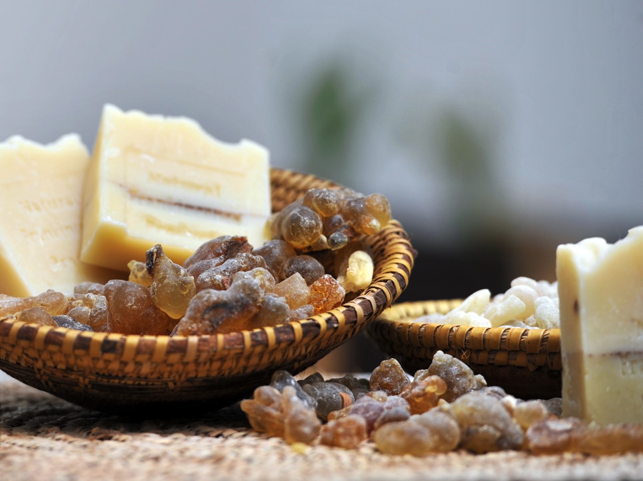 تقرير: تجارة اللبان سوق اقتصادي يتطور محليًا وإقليميًا