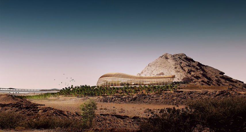 نقلت تبعيتها من “الديوان” إلى “السياحة”: هذه أبرز المعلومات عن حديقة النباتات والأشجار العُمانية