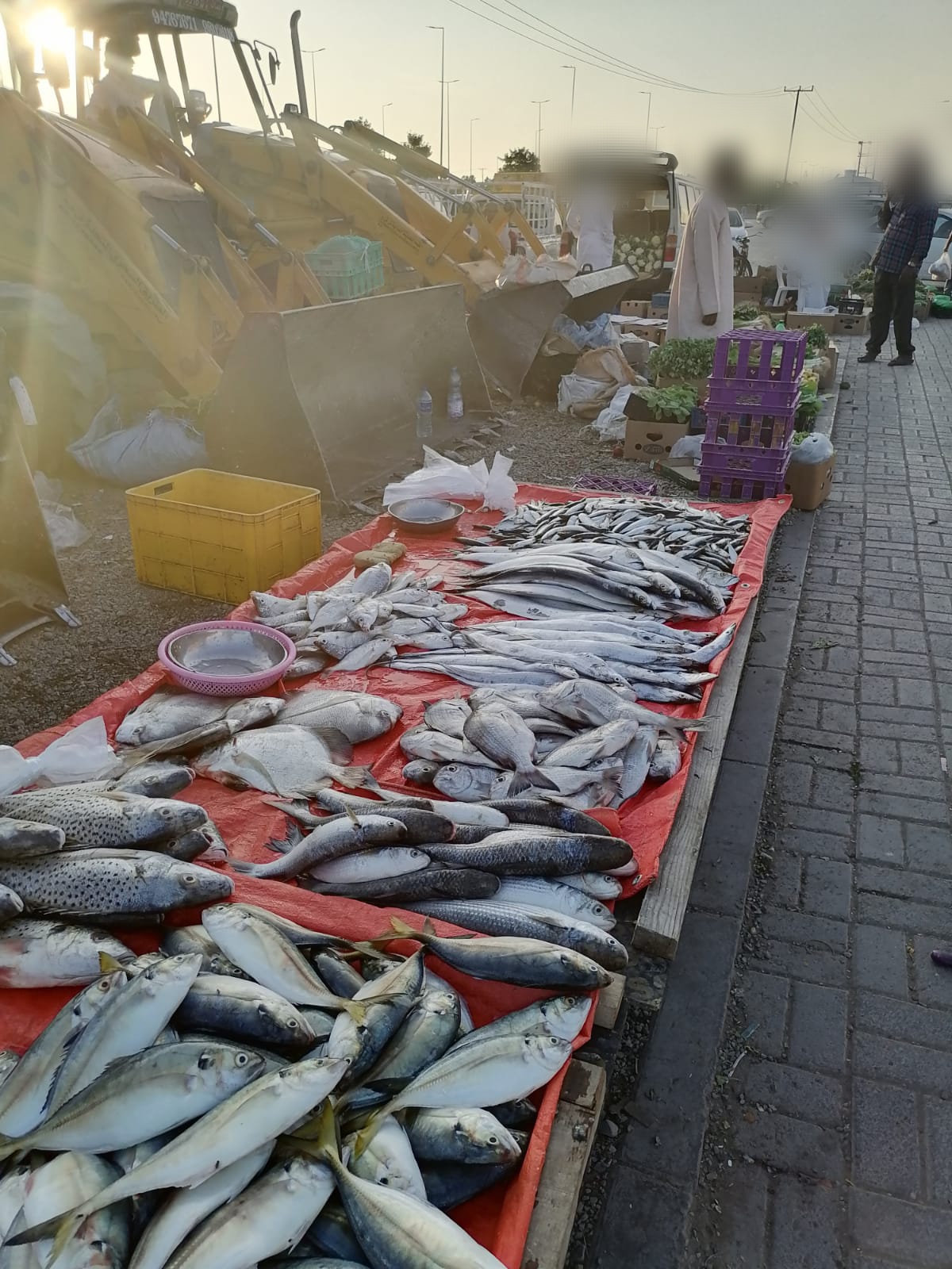 بالصور: ضبط باعة متجولين