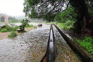 لماذا تُعدّ عين جرزيز من المزارات السياحية في ظفار؟