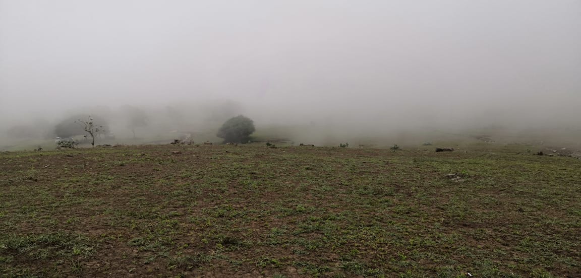 6 عناصر رئيسية لموسم الخريف.. والأمطار الرعدية والخريفية قريبًا