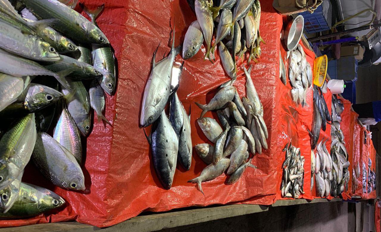 مصادرة كمية كبيرة من الأسماك عُرِضت في الشوارع