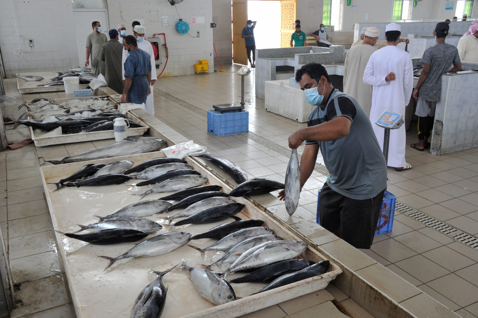 أكثر من 200 مليون ريال قيمة أسماك خلال 6 أشهر