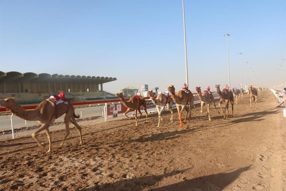 نتائج من مهرجان البشائر السنوي