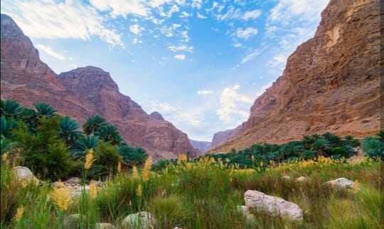 بالصور: مواطنون يُصينون طريق بلدتهم السياحية ويُطالبون بـ “الاهتمام”