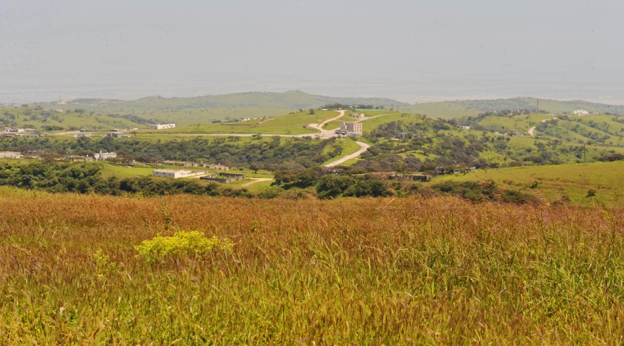 إذا فاتك الخريف؛ لا تفوّت “الصرب” الذي بدأ اليوم