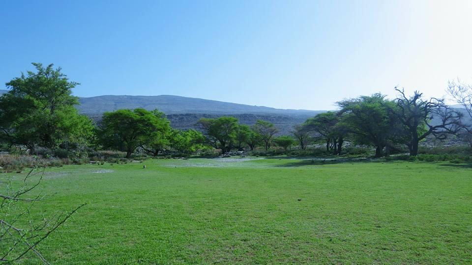 وجهة للاسترخاء والتخييم: قرية عمانية تكتسي بالأخضر فترة طويلة