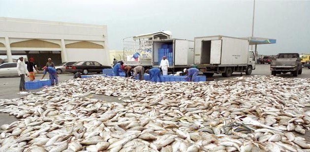 دعم يصل إلى 4000 ريال: الزراعة تصدر إعلانًا للمرخصين لنقل وتسويق الثروات المائية