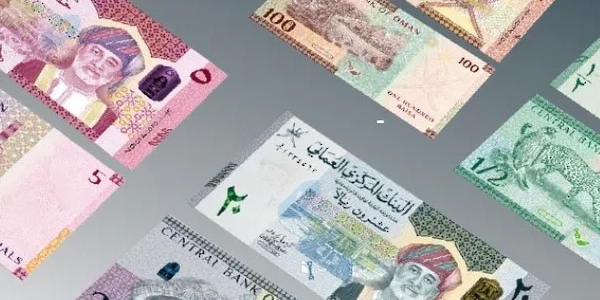 ودائع الحكومة في البنوك ترتفع