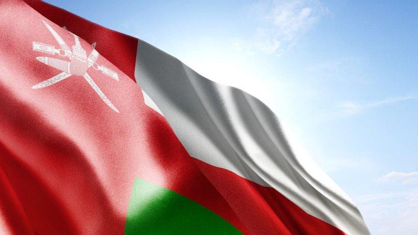 مصدر حكومي: سيتم طرح ألف وظيفة شهريًا في القطاع الحكومي