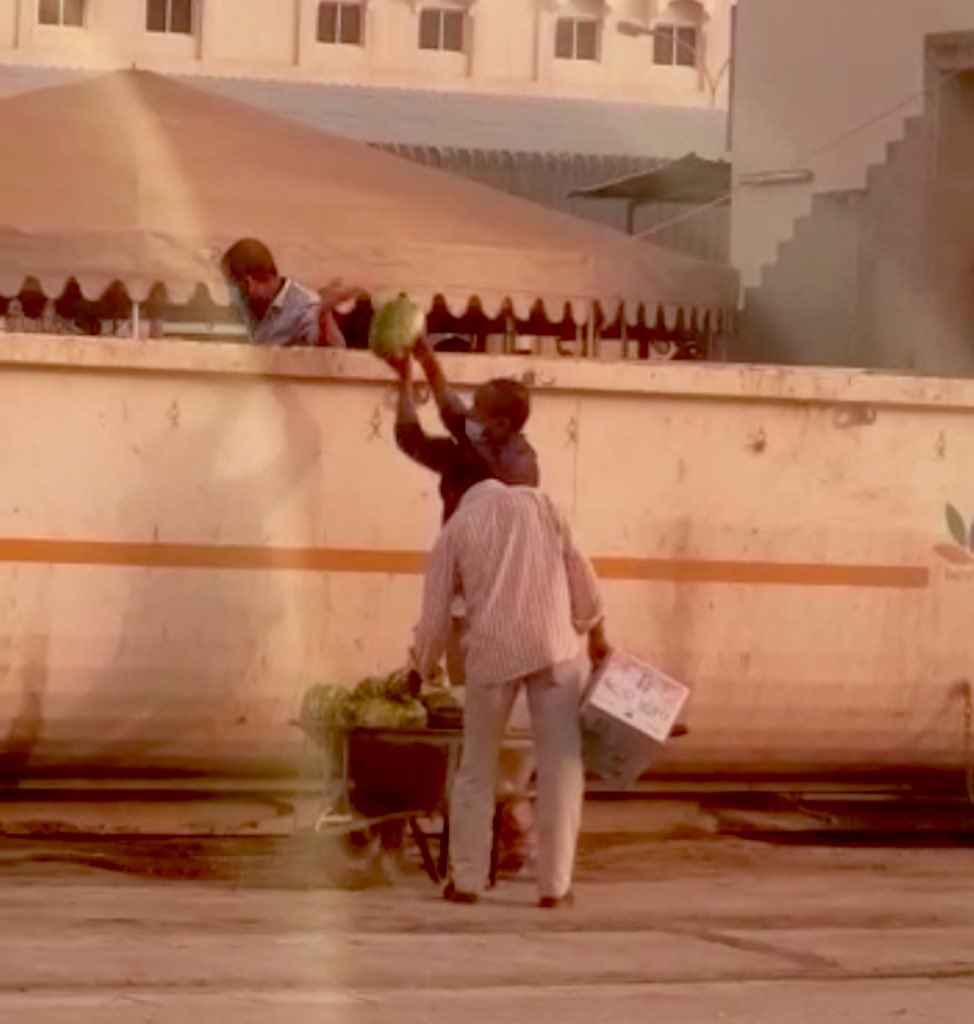 القبض على وافدين يأخذون الفاكهة من النفايات