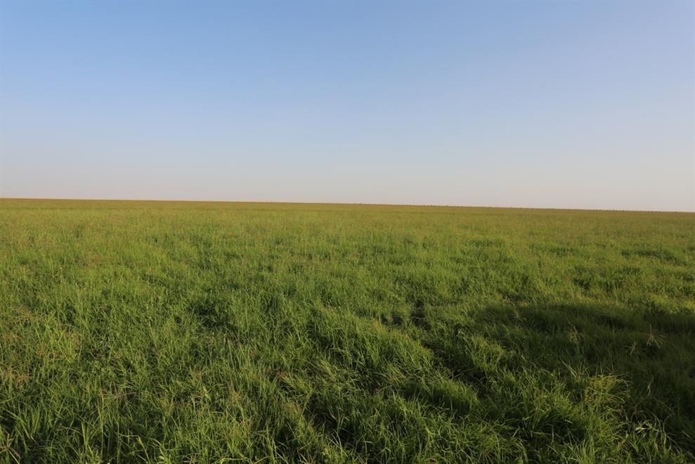 “استثمار منطقة النجد” يدخل رسميا ضمن التقسيم الإداري ويتبع الوزير مباشرة