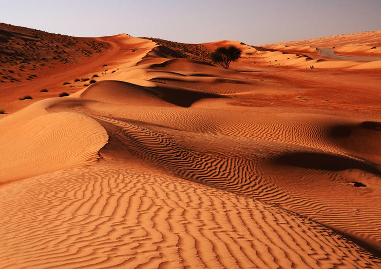 4 محافظات على موعد مع تخطيط كثبانها الرملية وتنظيمها