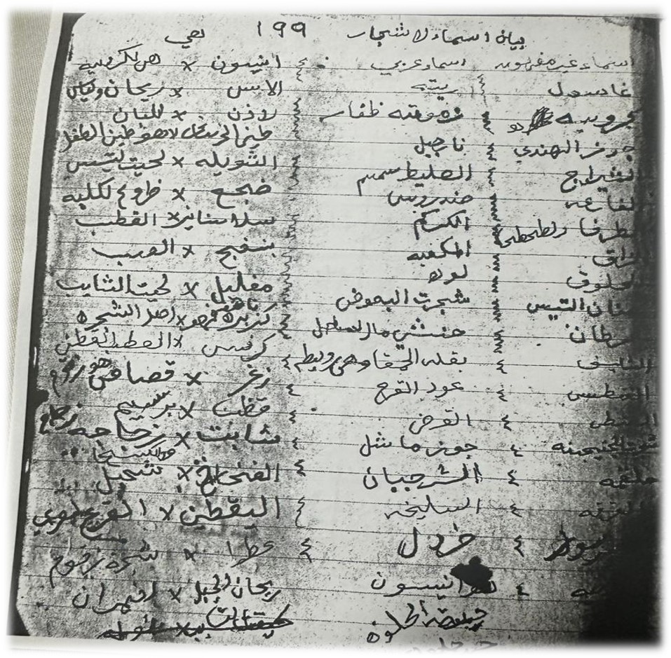 مخطوط- ( مجموع الأدوية المجربة في الطب الشعبي العماني )