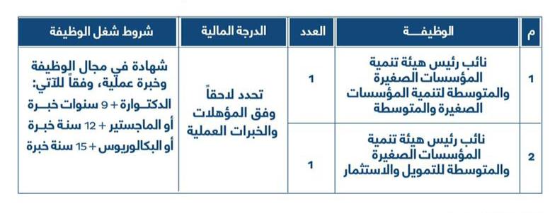 وظيفتان شاغرتان في هيئة تنمية المؤسسات الصغيرة والمتوسطة