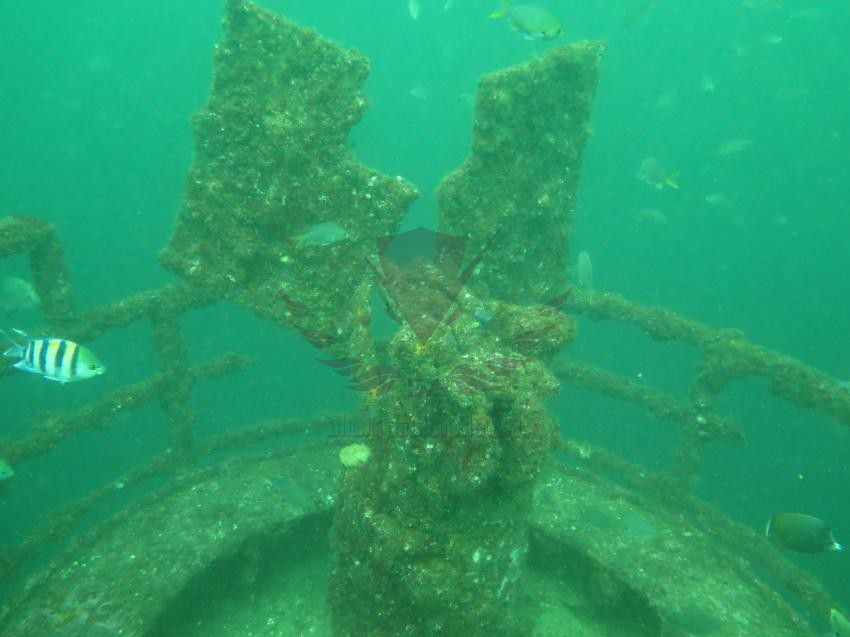 بالصور: شاهد السفينة التي أُغرقت بأوامر من السلطان قابوس قبل 20 عامًا