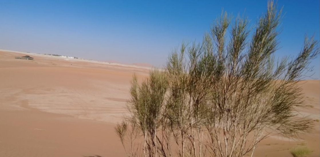 بحيرات بين الكثبان الرملية في نياية المشاش