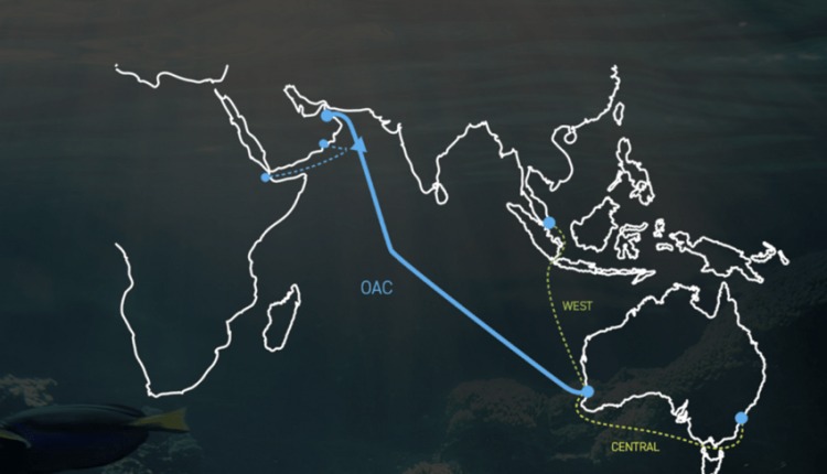 كابل عمان – أستراليا يُضِيء
