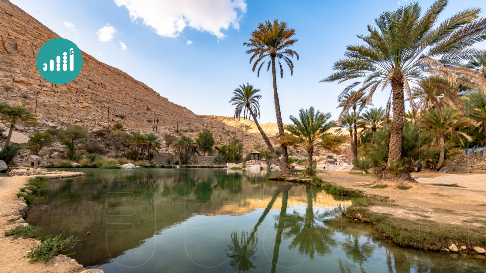 تنوّع بيئي واقتصادي: ماذا تخبئ الطبيعة العُمانية من ثروات؟