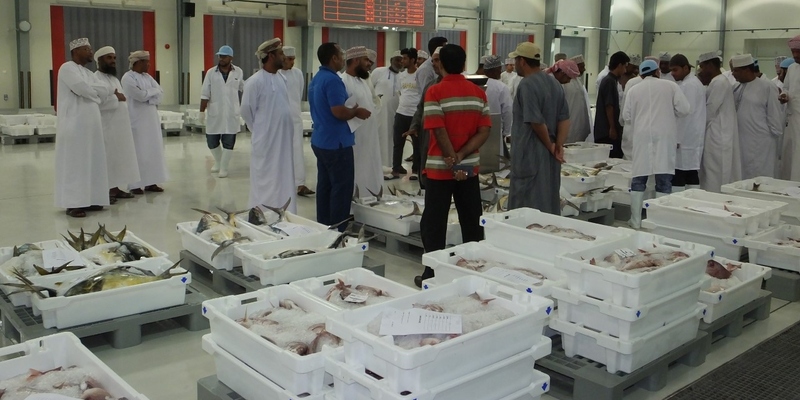 بالأرقام: “خيرات البحر” في مسقط