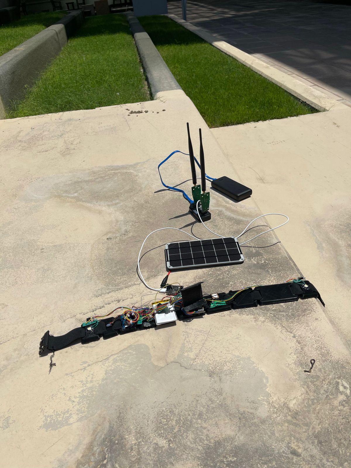 فَقَد صديقه بسبب جمل سائب؛ فابتكر حلًا لحماية الآخرين