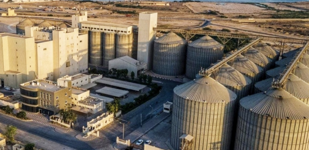 كمية قادمة من القمح تكفي لنهاية العام.. وجهود لشراء كمية لـ 2023