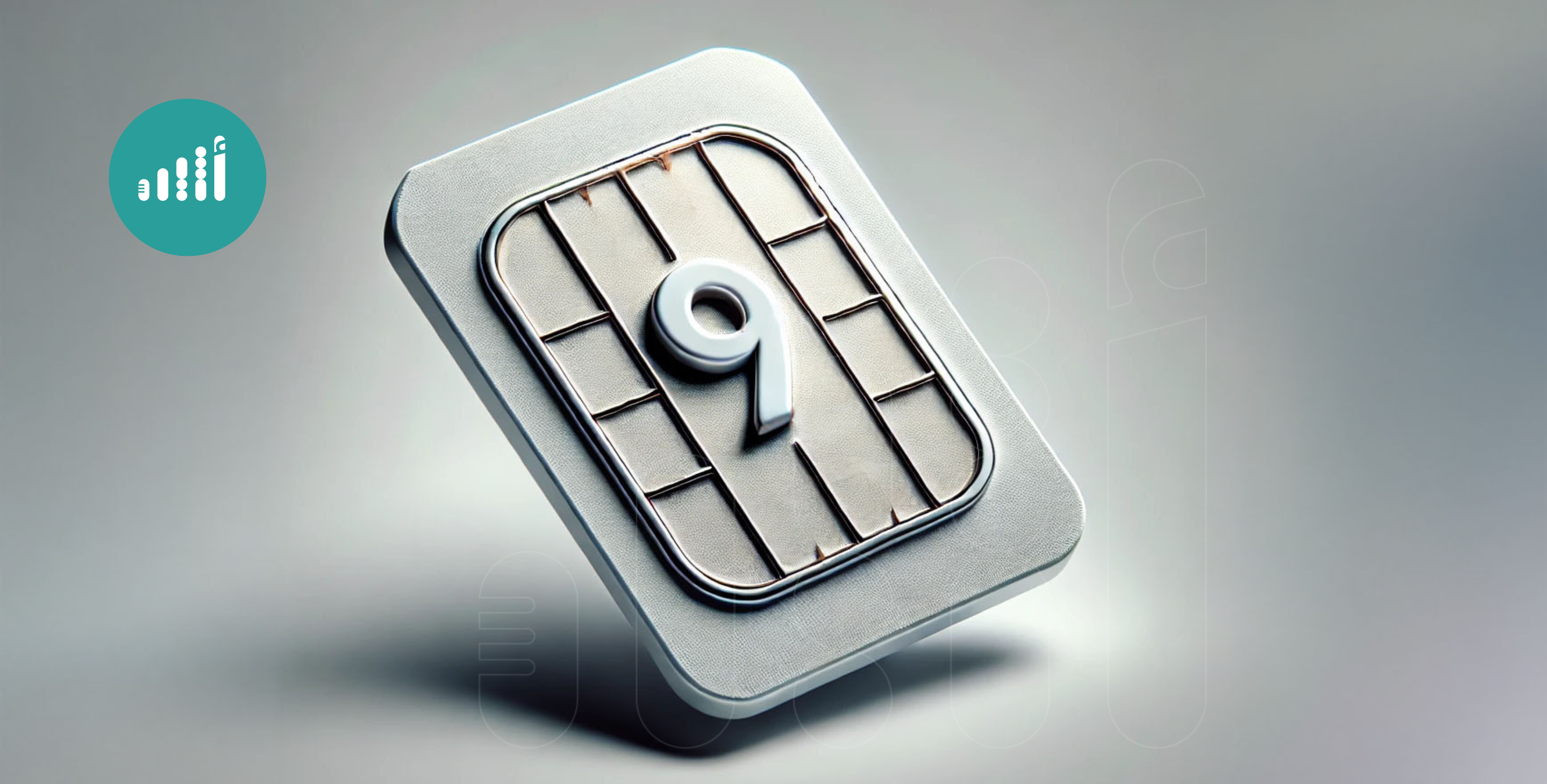لأول مرة: مزاد لأرقام متميزة تبدأ برقم 9
