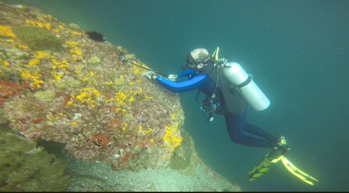 مواطن حوّل حلمه إلى مشروع تجاري فحصد النجاح