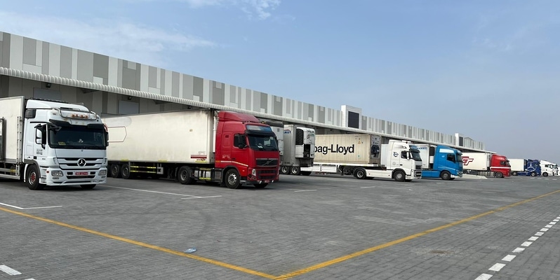 بدء التشغيل التجريبي لسوق الخضروات والفواكه، إليك المميزات الجديدة فيه