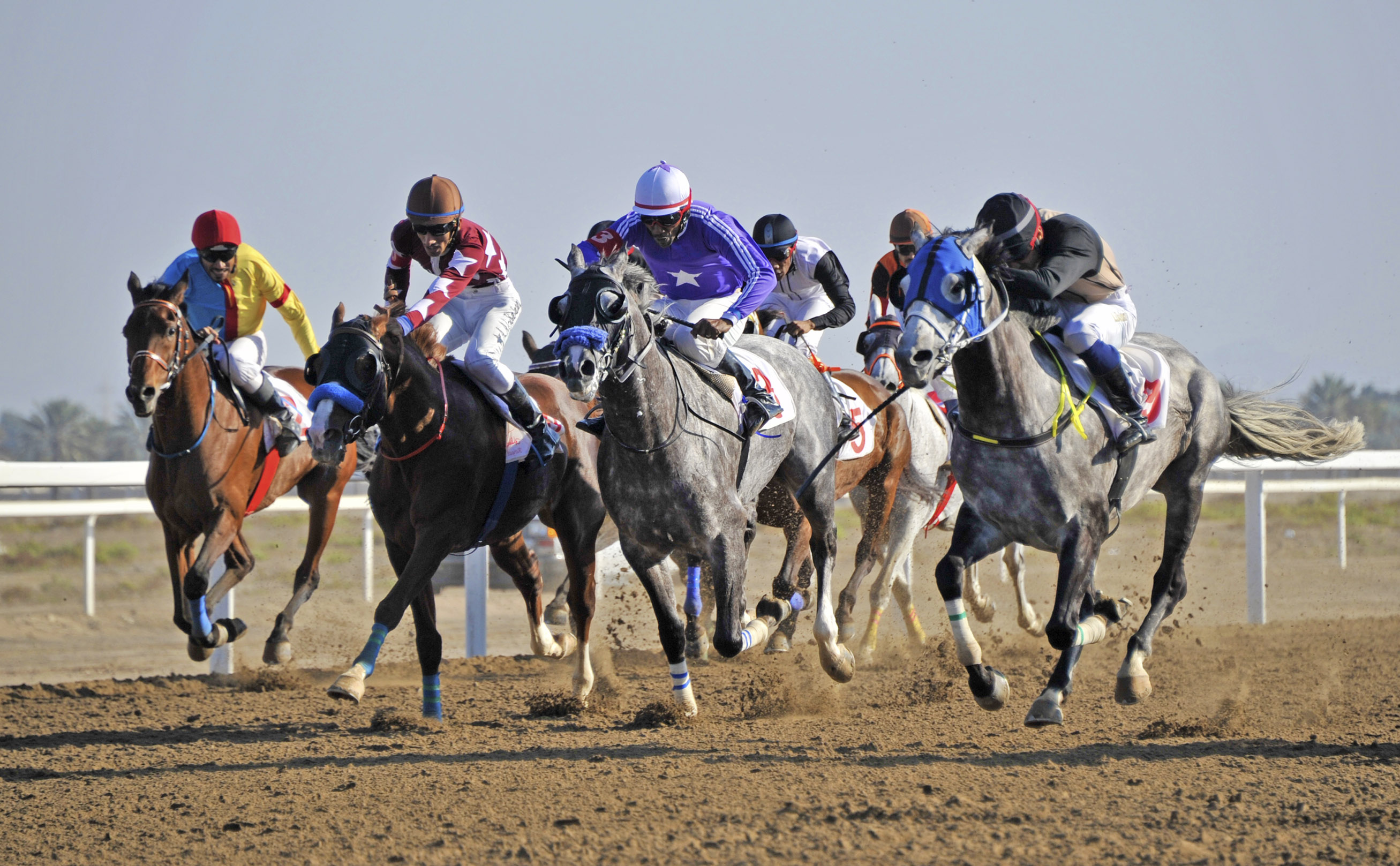 الخميس : أول أيام سباقات الخيل