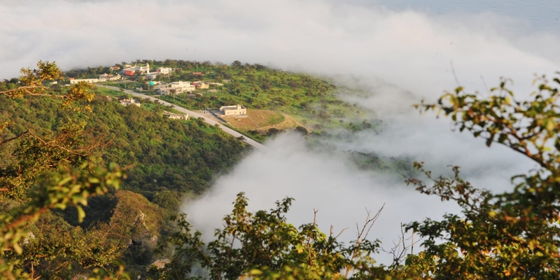 إذا فاتك الخريف؛ لا تفوّت “الصرب” الذي بدأ اليوم