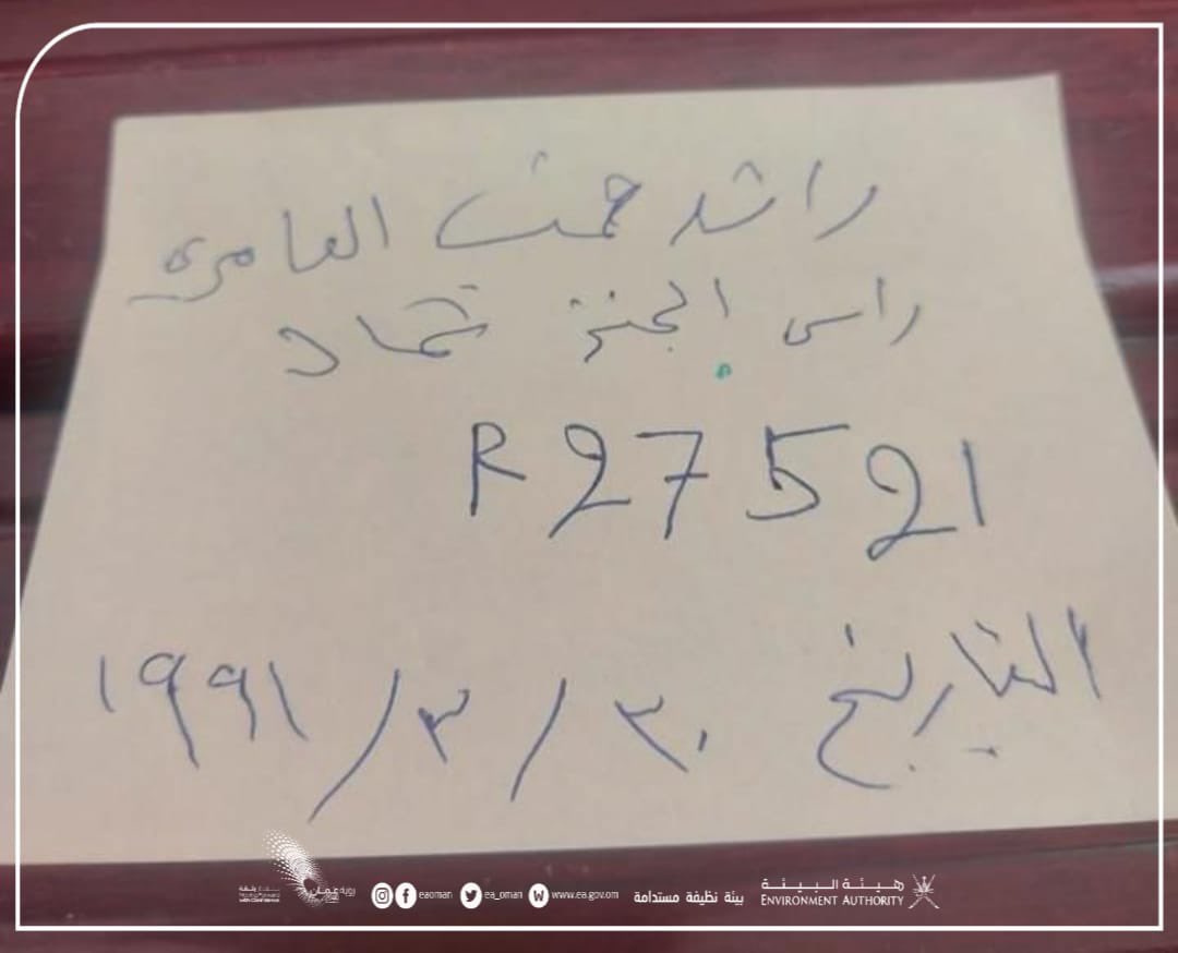 سلحفاة تعود إلى سلطنة عمان بعد 31 عامًا