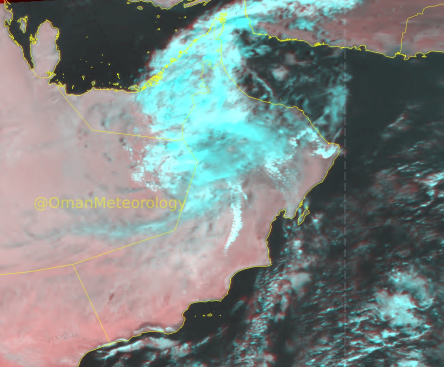 “شاهين” لن يُمحى من الذاكرة.. وهنا مساره منذ الإعلان الأول حتى “تنفُّس الصعداء”
