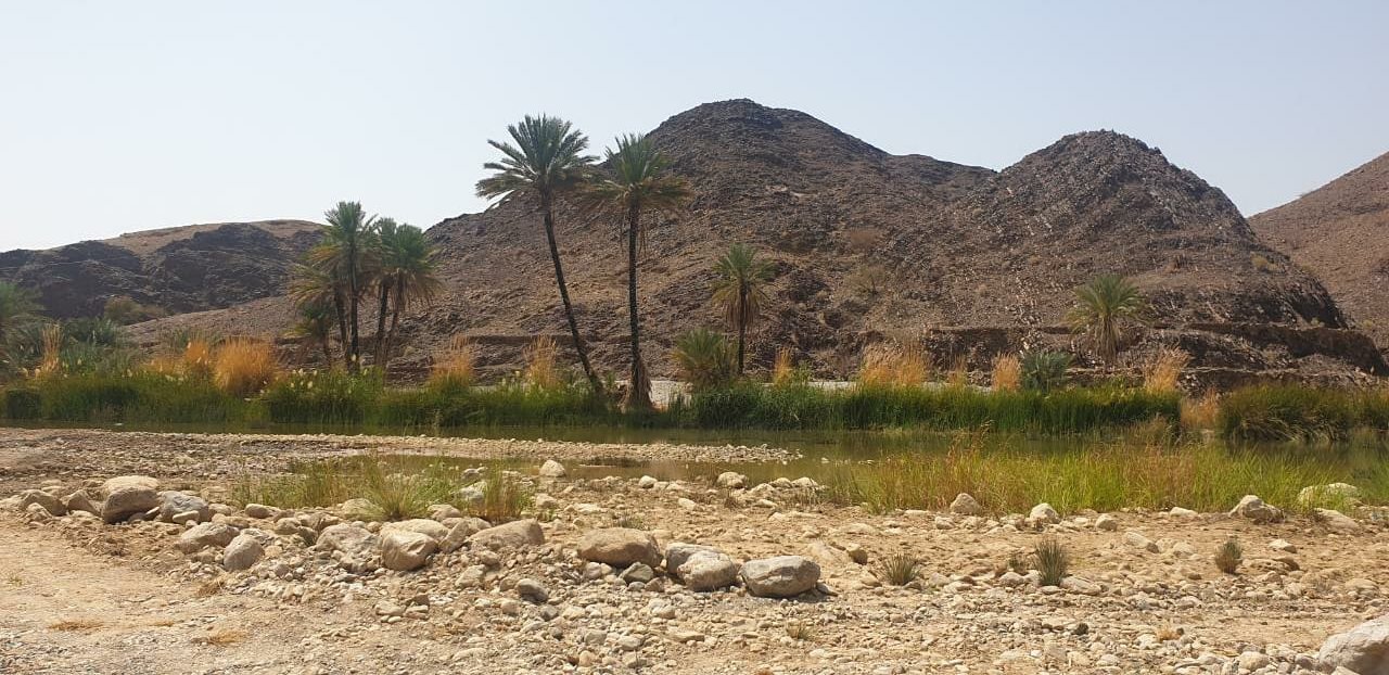 المَنَة والمنزف: متنفس صحي لمرتاديهما