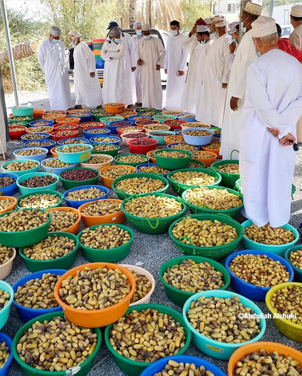 بيع كميات كبيرة من الرطب في “عرصة” وادي المعاول