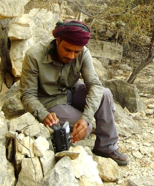 من التطوع إلى القيادة: العُماني الذي اهتم بصون النمر العربي منذ أكثر من 20 عامًا