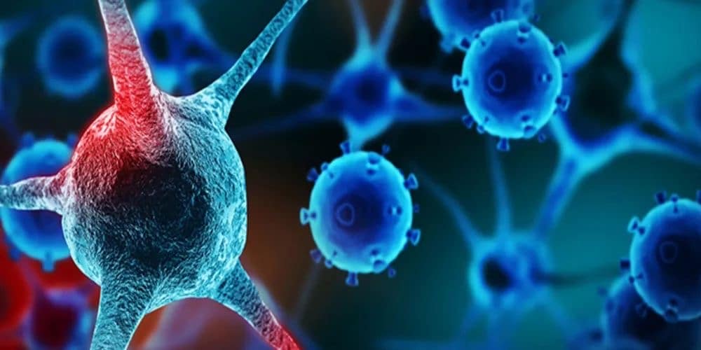 الأولى منذ 25 عامًا: تسجيل إصابة بالنمط 2 من شلل الأطفال في غزة