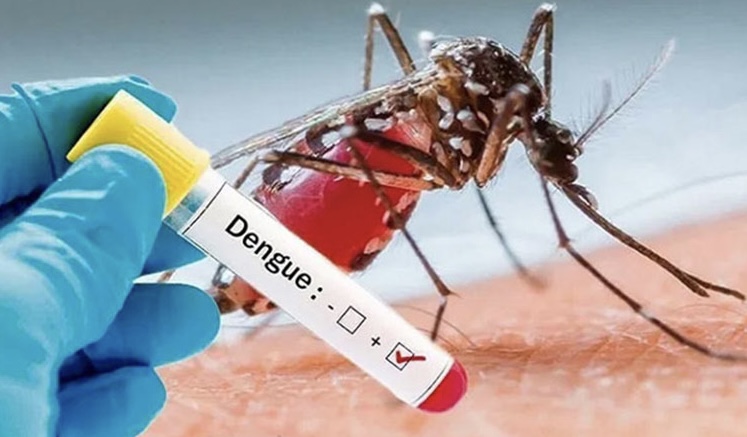 الكشف عن عدد الحالات المسجلة بحمى الضنك