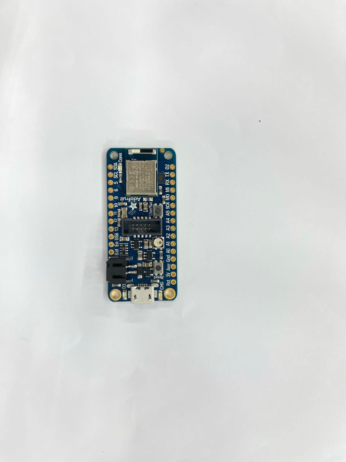 فَقَد صديقه بسبب جمل سائب؛ فابتكر حلًا لحماية الآخرين