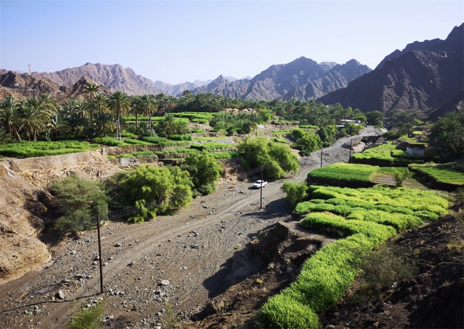 “البليدة”..بلدة سياحية طبيعية ذات شواهد تاريخية