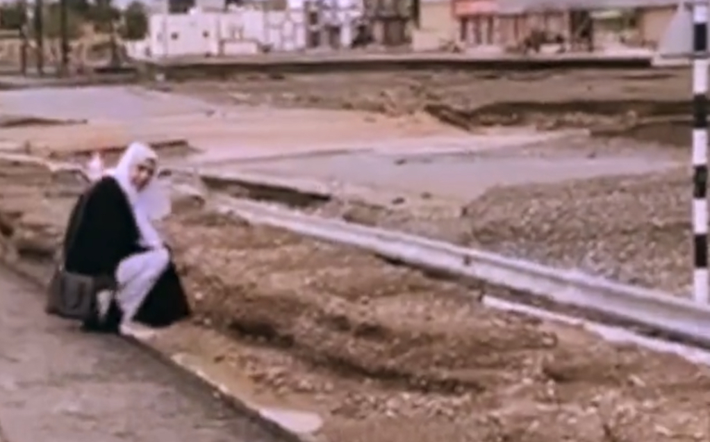 ممرضة تحكي قصتها أثناء عبور شاهين