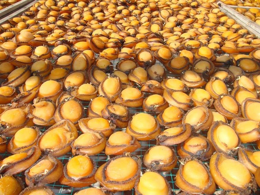 مشروع بـ 100 ألف ريال  يخدم الصفيلح العماني