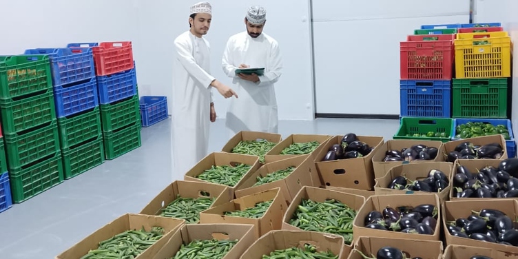 “الإنتاج التسويق الزراعي” تبدأ التشغيل التجريبي لمحطتها الأولى