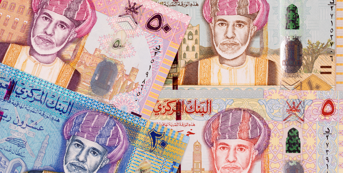 أكثر من 300 مليون أرباح من استثمارات حكومية: المالية تكشف عن أرقام الأداء المالي