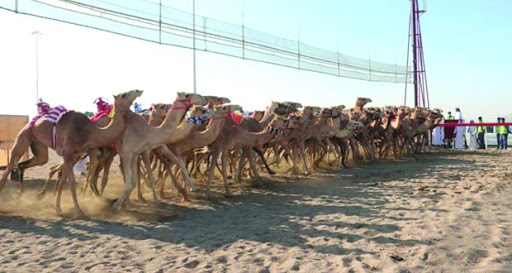 بتنظيم من مكتب سمو السيد أسعد: الكشف عن تفاصيل مهرجان البشائر السنوي