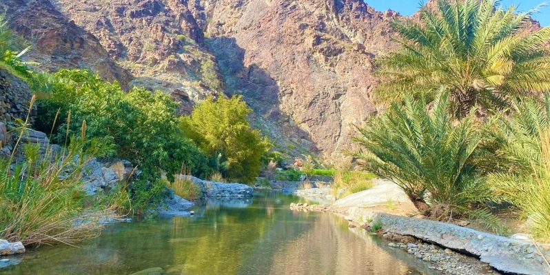 تقرير يدعوك إلى زيارة قرية الحيل ذات المحاصيل الزراعية المختلفة
