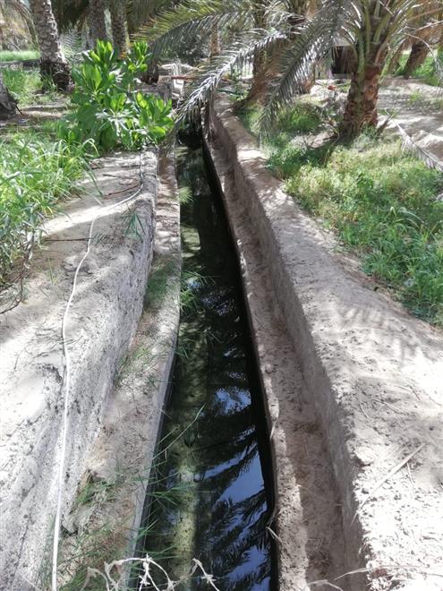 تعرف على عدد الأفلاج في جعلان بني بوحسن