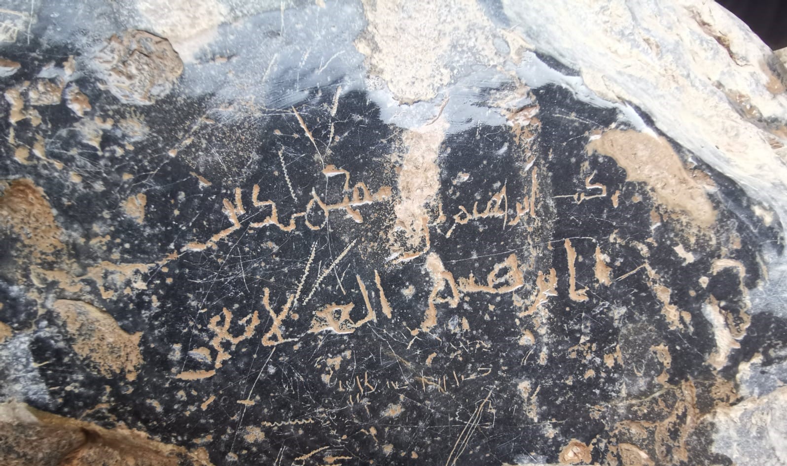 ما الذي كشفته دراسة الفن الصخري عن الحياة في سلطنة عُمان؟