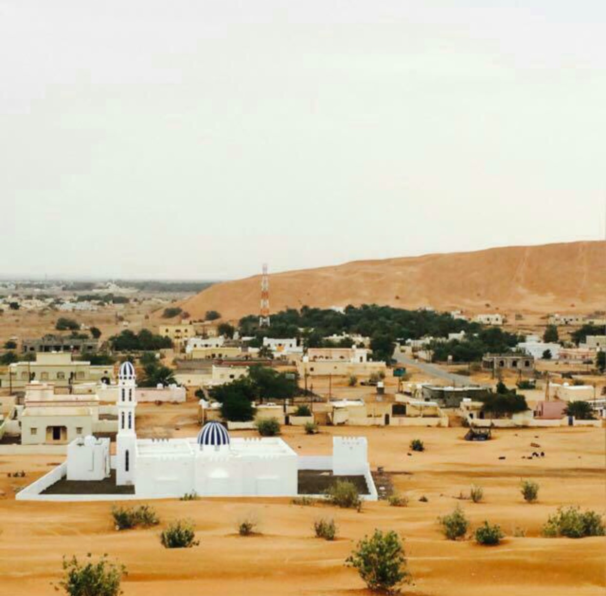 قريب للمتوفين في بدية: سيتم دفنهم اليوم