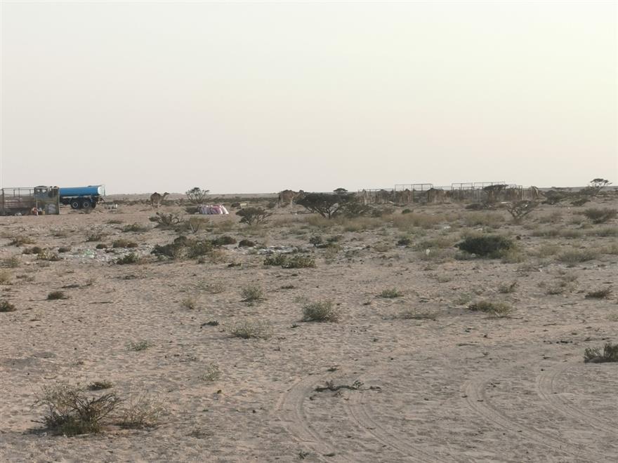 تعرّف على الثروات الطبيعية في أكبر محافظات السلطنة